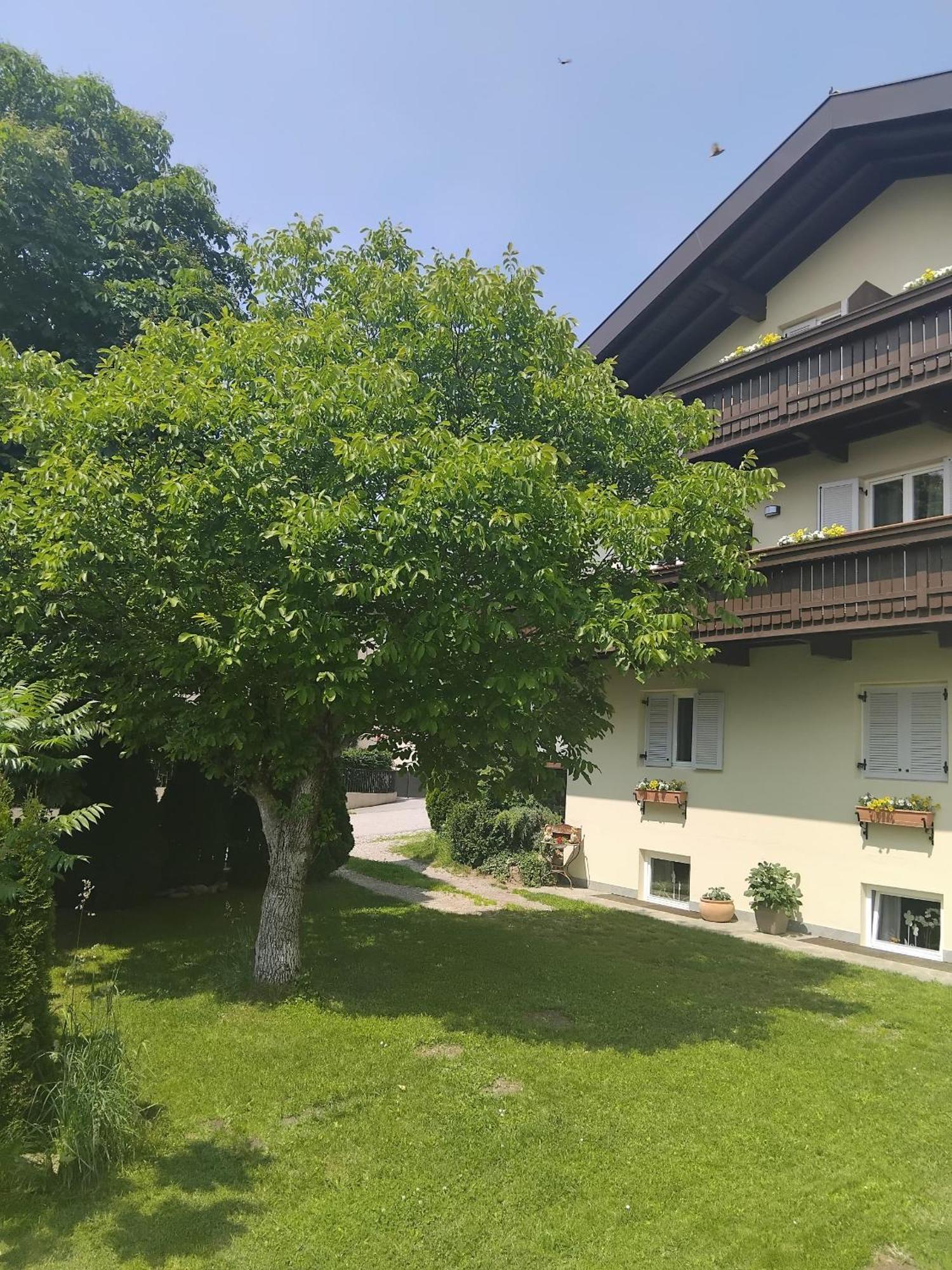 Garni Hattlerhof B&B Brunico Esterno foto