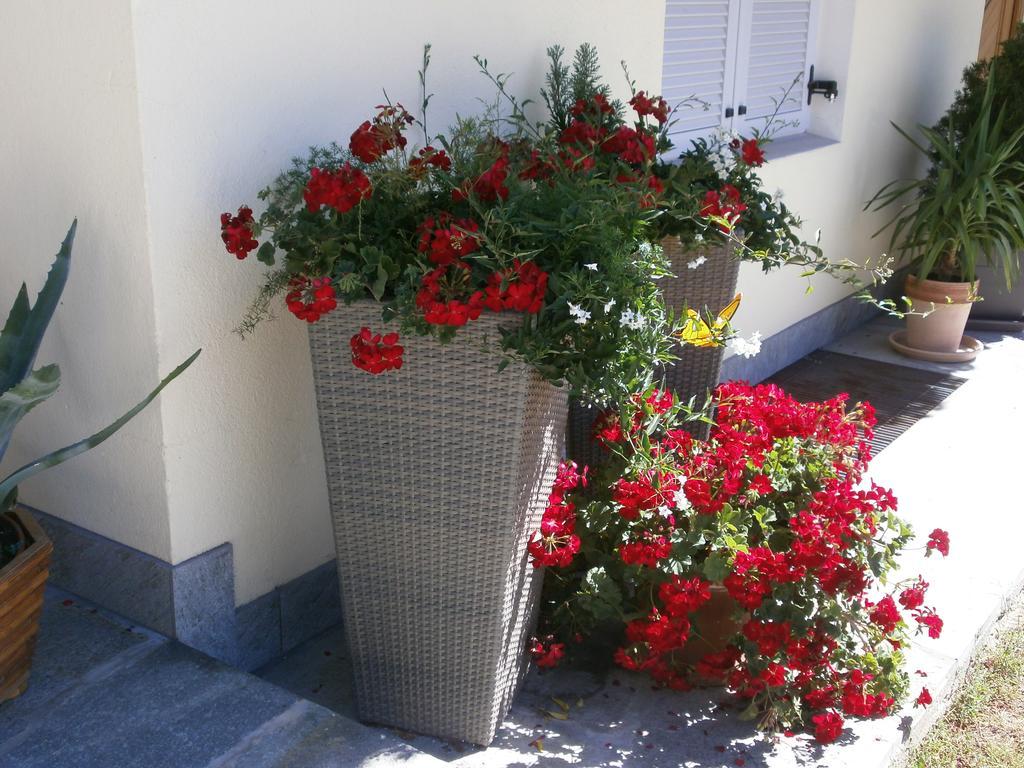 Garni Hattlerhof B&B Brunico Esterno foto